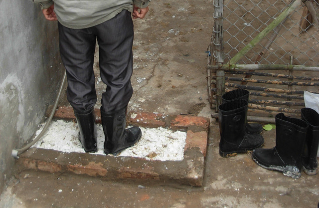 Mesure de biosécurité simple à mettre en place : des bottes et un pédiluve rempli de chaux éteinte à l’entrée du poulailler.