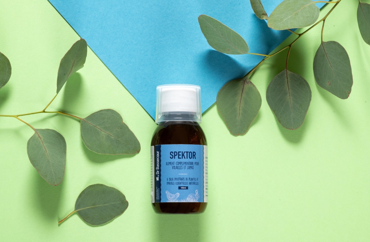 P0008_spektor_1 - Grande