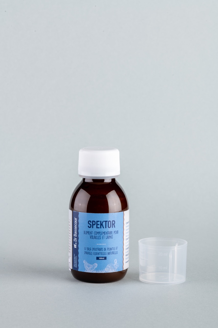 P0008_spektor_2 - Grande