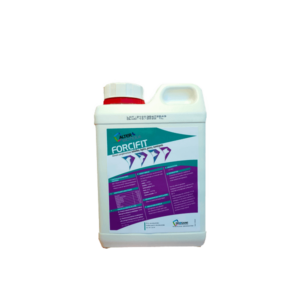 Forcifit : contre le stress des poules et renforcer l'immunité