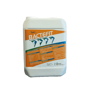 bactefit 5 L